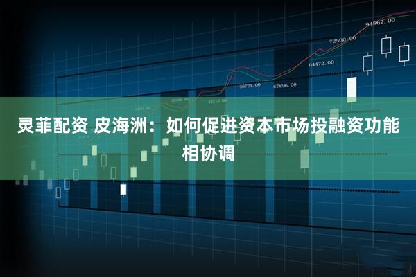 灵菲配资 皮海洲：如何促进资本市场投融资功能相协调