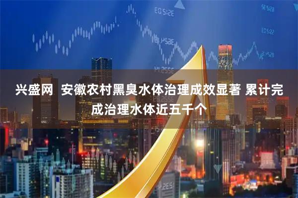 兴盛网  安徽农村黑臭水体治理成效显著 累计完成治理水体近五千个