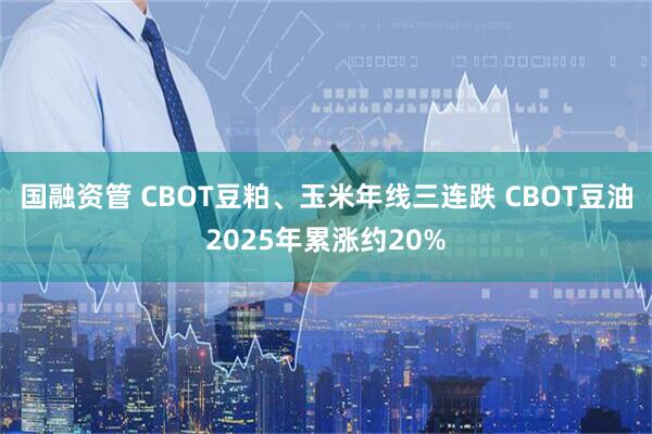 国融资管 CBOT豆粕、玉米年线三连跌 CBOT豆油2025年累涨约20%