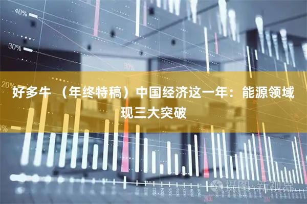 好多牛 （年终特稿）中国经济这一年：能源领域现三大突破