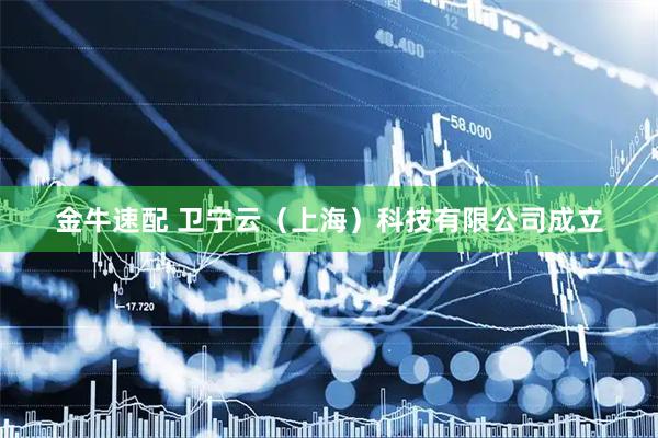 金牛速配 卫宁云（上海）科技有限公司成立